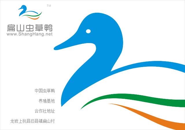 中國蟲草鴨養(yǎng)殖基合作社地址 蟲草鴨種苗