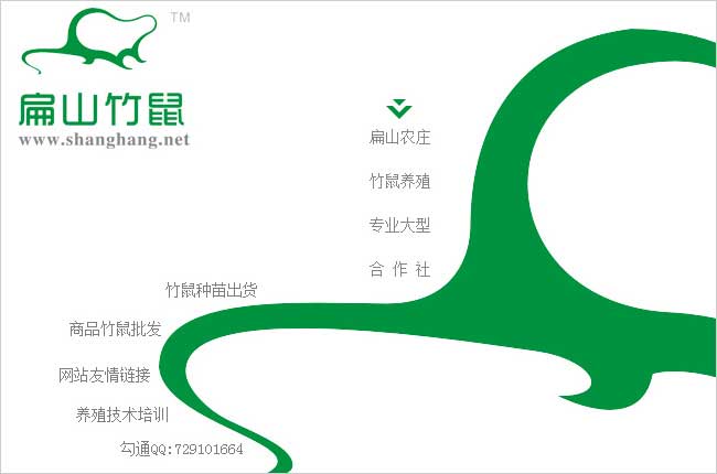 2024文昌竹鼠養(yǎng)殖萬寧合作社 瓊海竹鼠種苗繁殖基地 500對