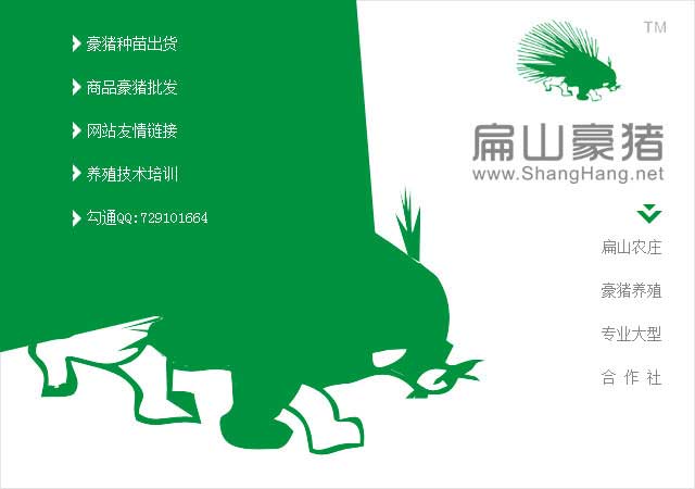 肉兔標(biāo)志設(shè)計(jì)