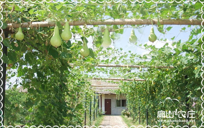 生態(tài)農(nóng)莊設計效果圖