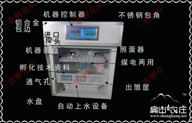全自動雞苗鴿子小型孵化機多少錢？