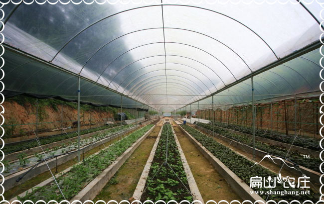 福州農(nóng)莊養(yǎng)殖規(guī)劃注意事項
