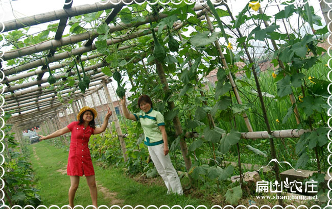 福建生態(tài)農(nóng)莊規(guī)劃要注意什么問題？