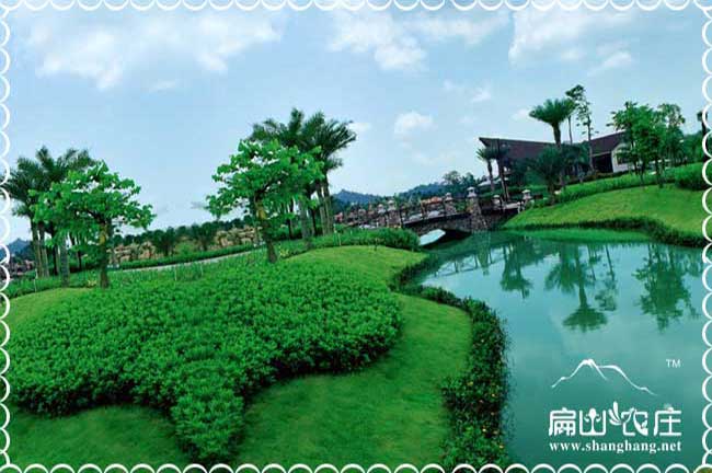 求購(gòu)各類(lèi)苗木花卉花木