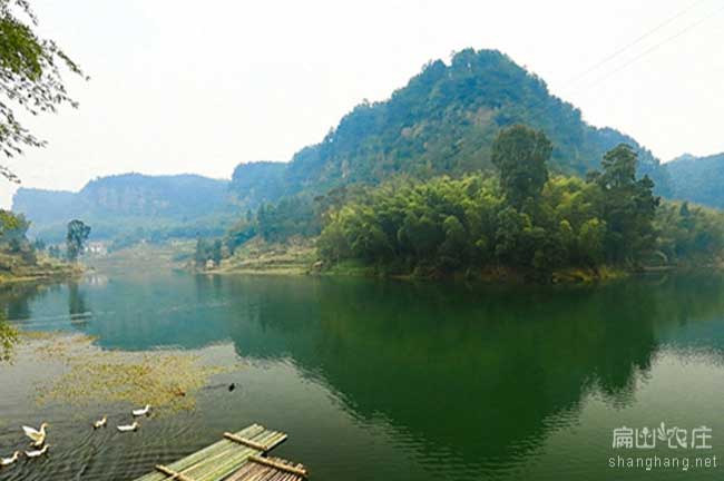 廈門(mén)土雞苗養(yǎng)殖基地