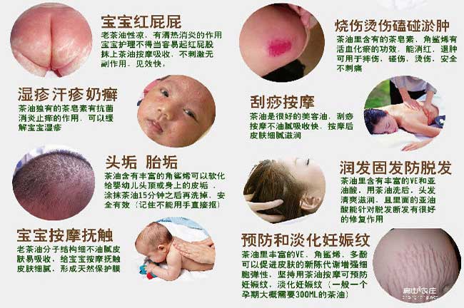 茶油藥用食用方法和價值