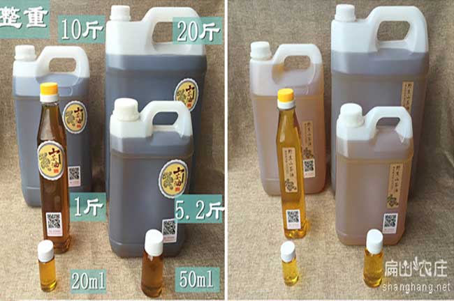福建10斤茶油價格