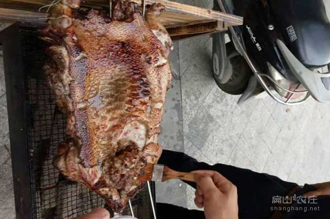 龍巖肉兔養(yǎng)殖場