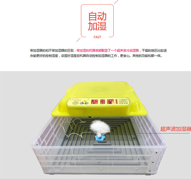 鴕鳥(niǎo)蛋家用孵化機(jī)