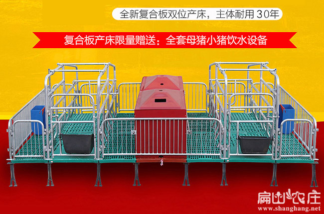 福建母兔產(chǎn)床批發(fā)價(jià)格