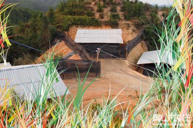 冬天雞舍建設要求保暖