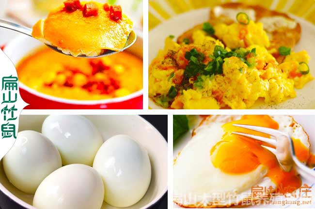 母雞吃蛋預(yù)防措施