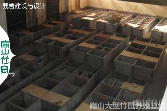 中國大中的竹鼠養(yǎng)殖基地
