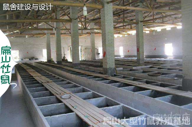 2024實(shí)用竹鼠窩設(shè)計(jì)