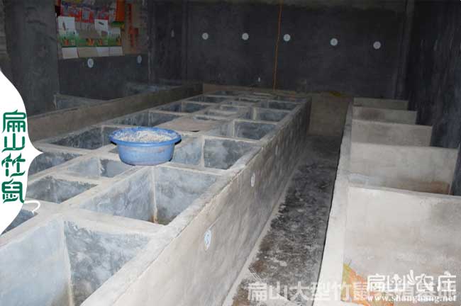 桂林竹鼠養(yǎng)殖基地