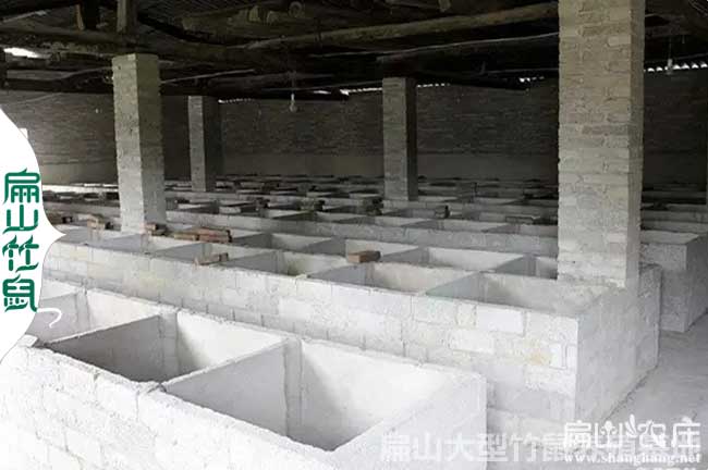2024徐州竹鼠種苗 南通無(wú)錫宿城竹鼠養(yǎng)殖合作社報(bào)價(jià)分享