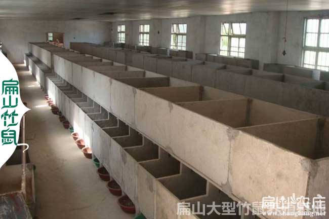 2024貴州凱里竹鼠養(yǎng)殖廠房場地建造基地 鼠窩建設(shè)圖 491元/