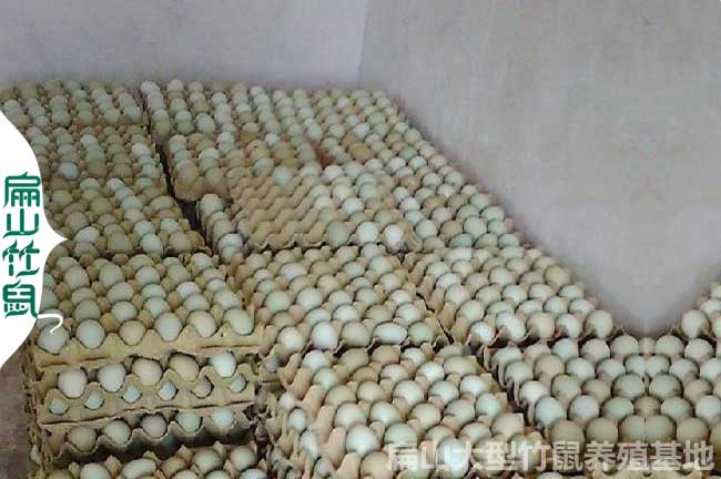 湖南生態(tài)土雞蛋批發(fā)價格