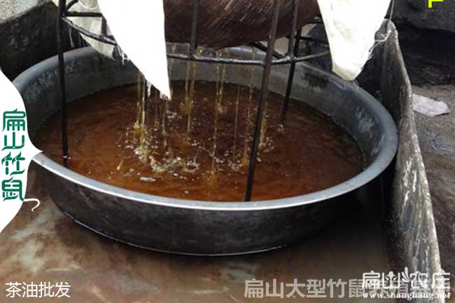 油茶苗與產(chǎn)油量的比例