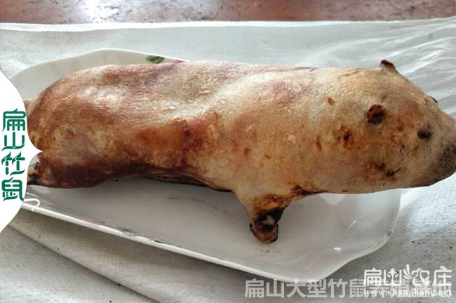 普定商品竹鼠