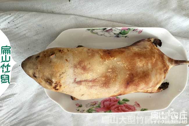 福建竹鼠收購