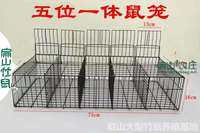 宜賓竹鼠籠子批發(fā)