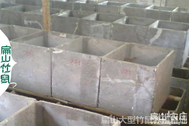 漳州竹鼠養(yǎng)殖場