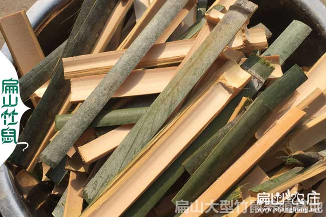 竹鼠實(shí)物竹片