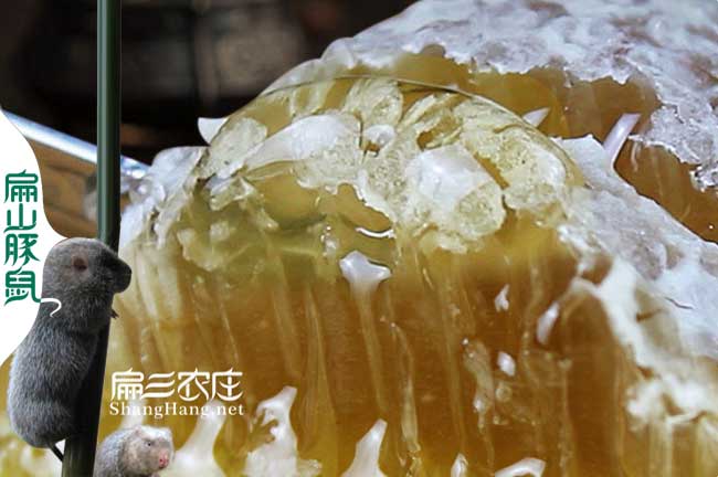 蜜蜂養(yǎng)殖