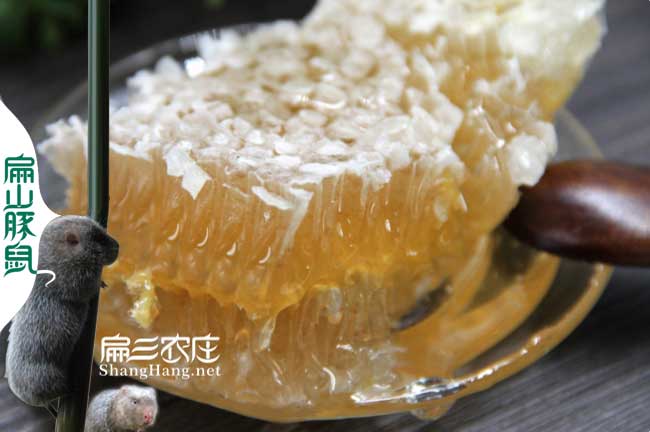 江西蜂蜜批發(fā)