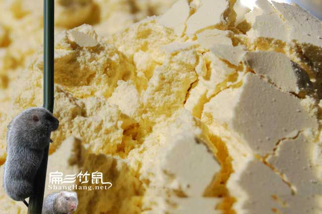廣西玉米細(xì)粉批發(fā)基地