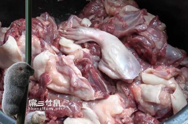 寧蒗竹鼠肉批發(fā)