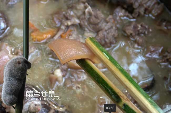 麗江商品竹鼠肉批發(fā)