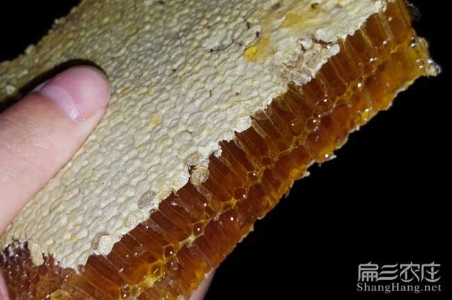 陜西蜂蜜批發(fā) 陜西蜂蜜批發(fā)