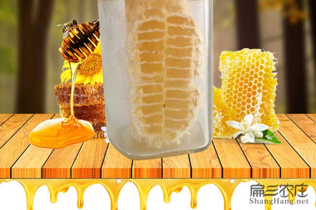 蜂巢蜜批發(fā)價(jià)格