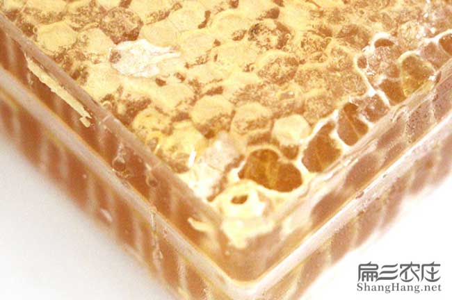 渭南蜂巢蜜技術(shù)培訓