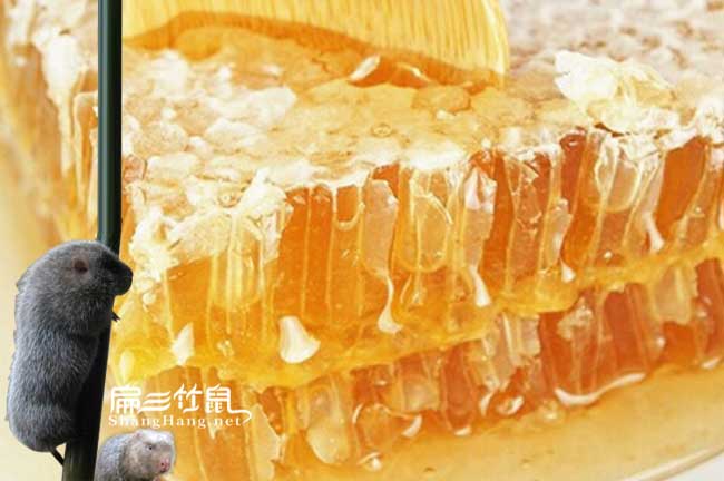 萍鄉(xiāng)蜜蜂養(yǎng)殖