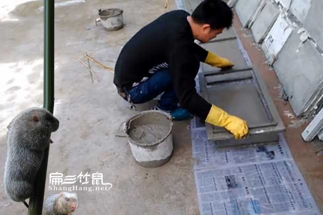 沅陵竹鼠養(yǎng)殖
