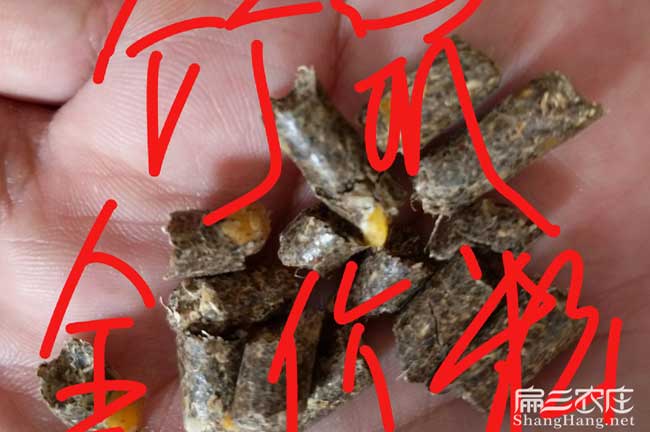 竹鼠全價粉