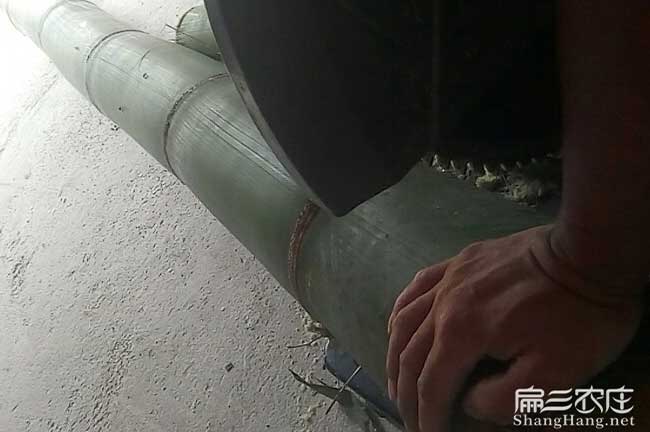 竹鼠腸炎用藥