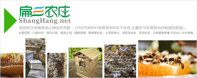 貴陽蜂群批發(fā)
