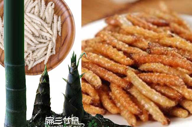 竹蟲(chóng)養(yǎng)殖技術(shù)基地