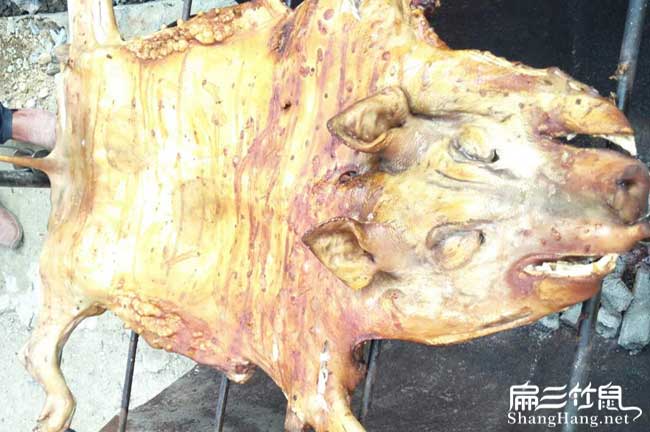 溫嶺竹鼠肉批發(fā)