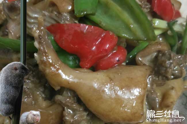 會昌竹鼠肉價格