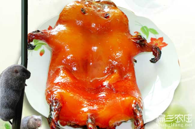 南京竹鼠肉價格
