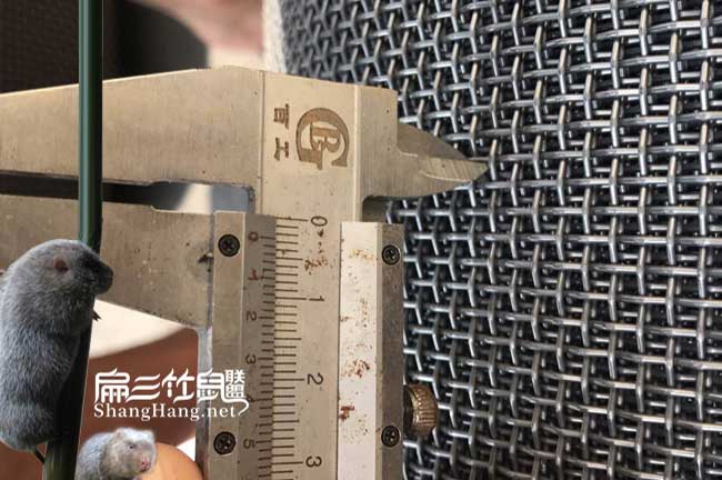 ?竹鼠養(yǎng)殖池底鐵絲網(wǎng)廠家批發(fā)