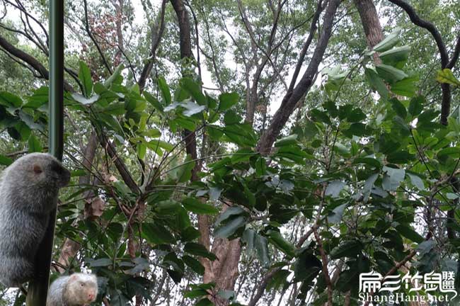 和你們上機(jī)縣扁山農(nóng)業(yè)