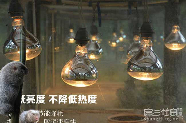 新養(yǎng)殖場保暖燈