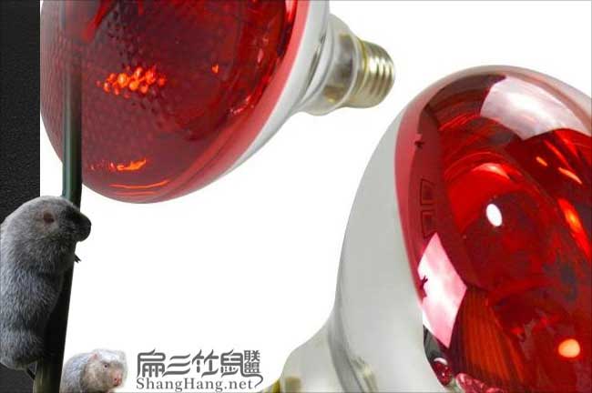 養(yǎng)殖場(chǎng)保溫?zé)? title=