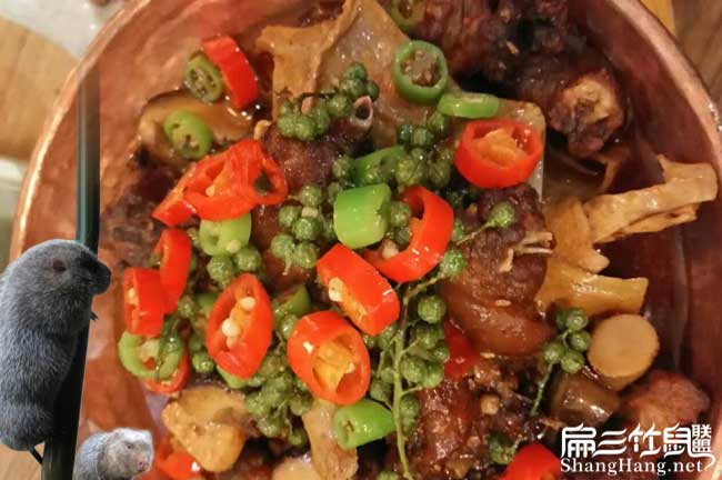竹鼠養(yǎng)殖騙局梅溪竹鼠 竹鼠養(yǎng)殖騙局梅溪竹鼠